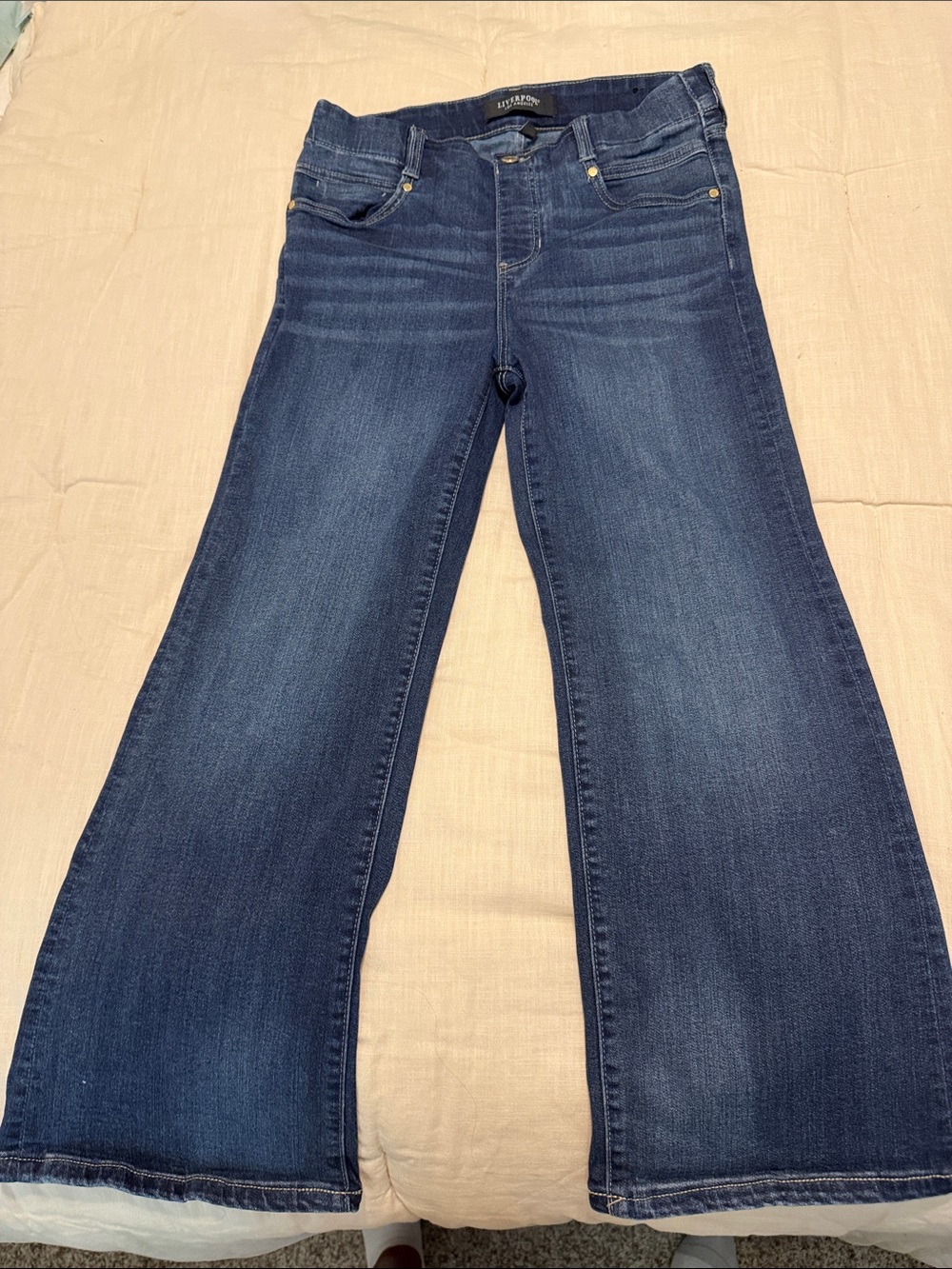 Liverpool Los Angeles Dark Indigo Wide Leg Jeans